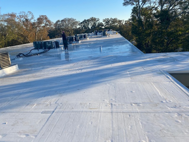 Roof